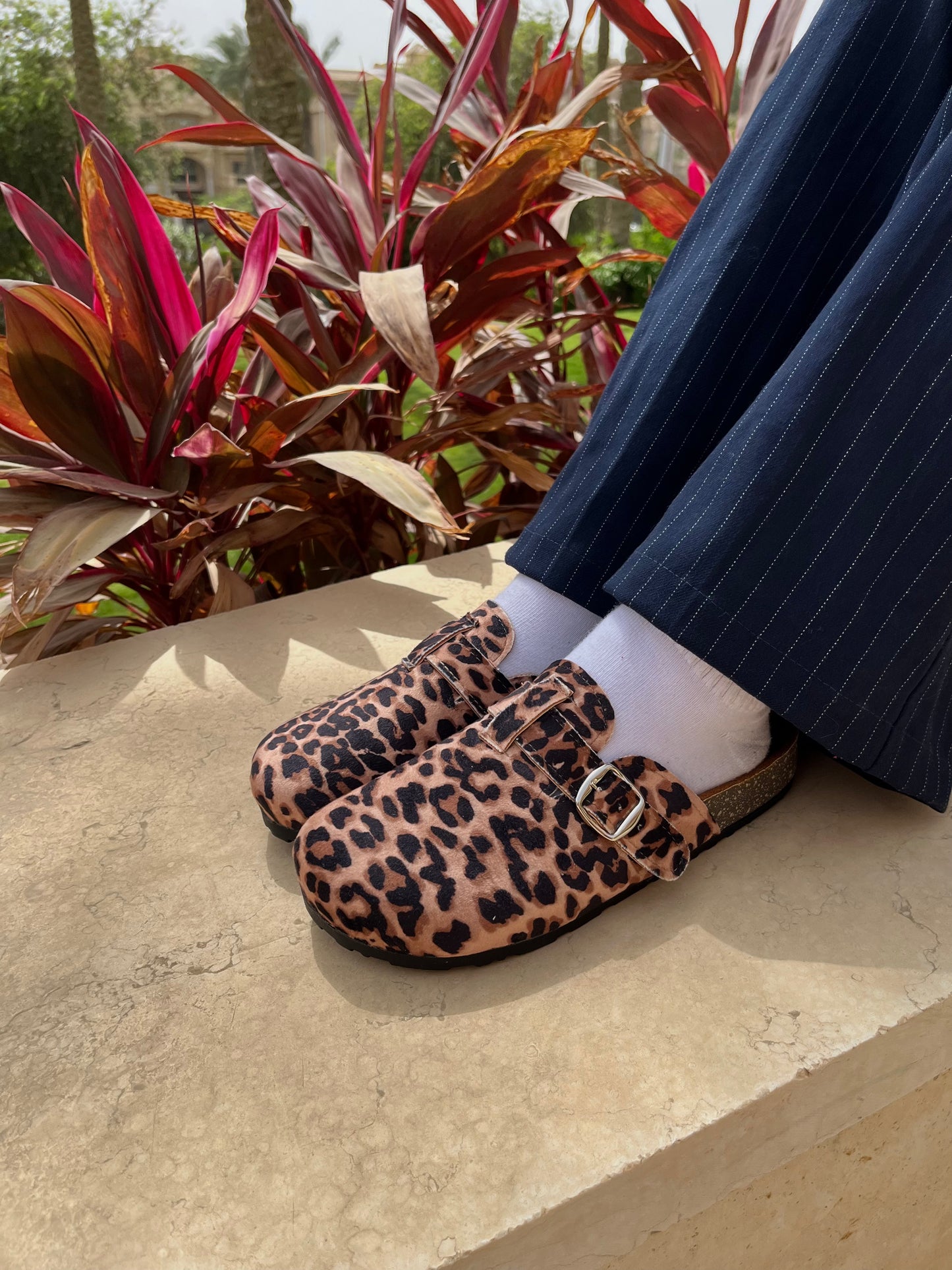 Clogsy Tiger